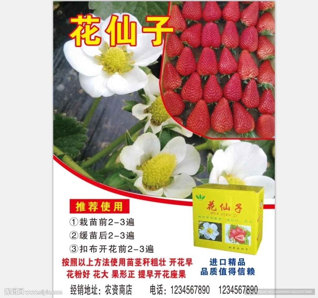 草莓宣传单