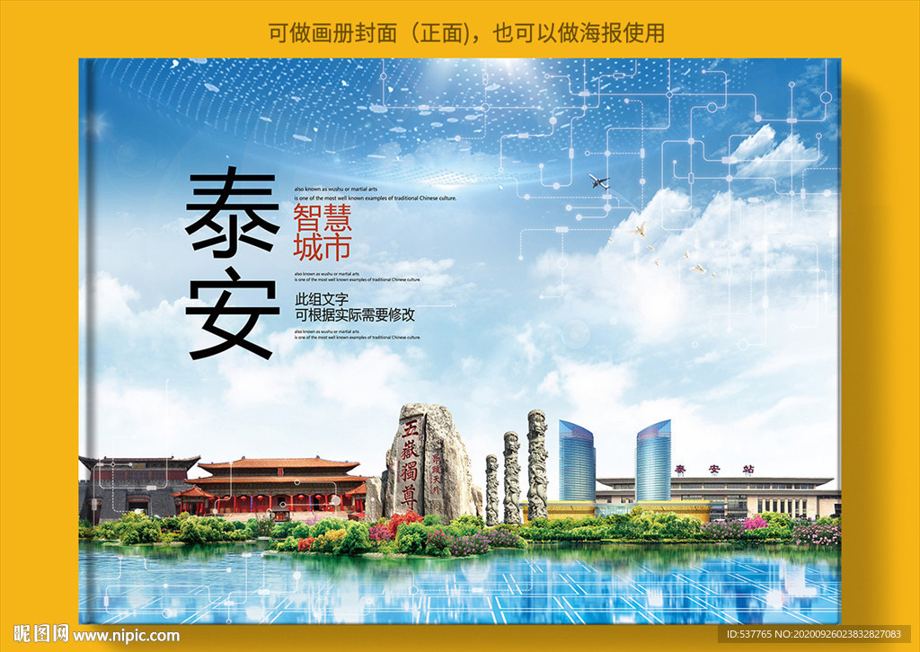 泰安智慧科技创新城市画册封面