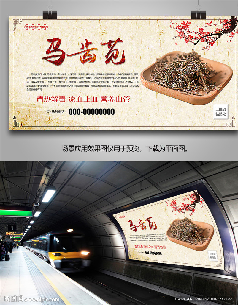 马齿苋招贴海报灯箱展板挂画单页