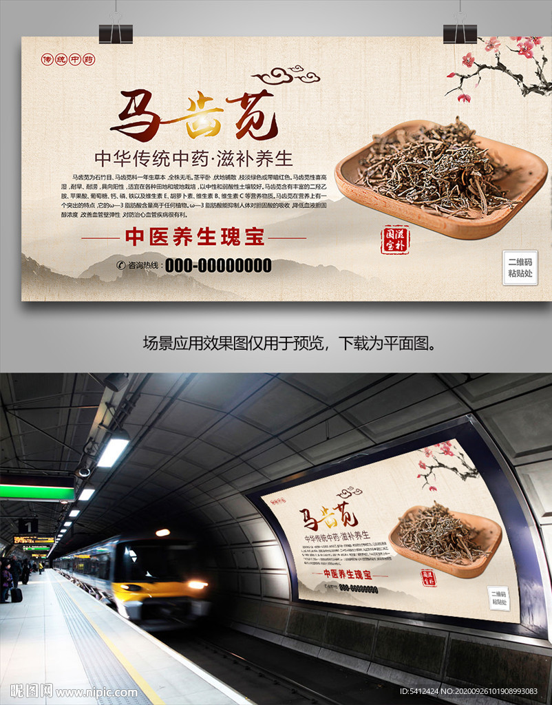 马齿苋批发海报灯箱展板展架挂画