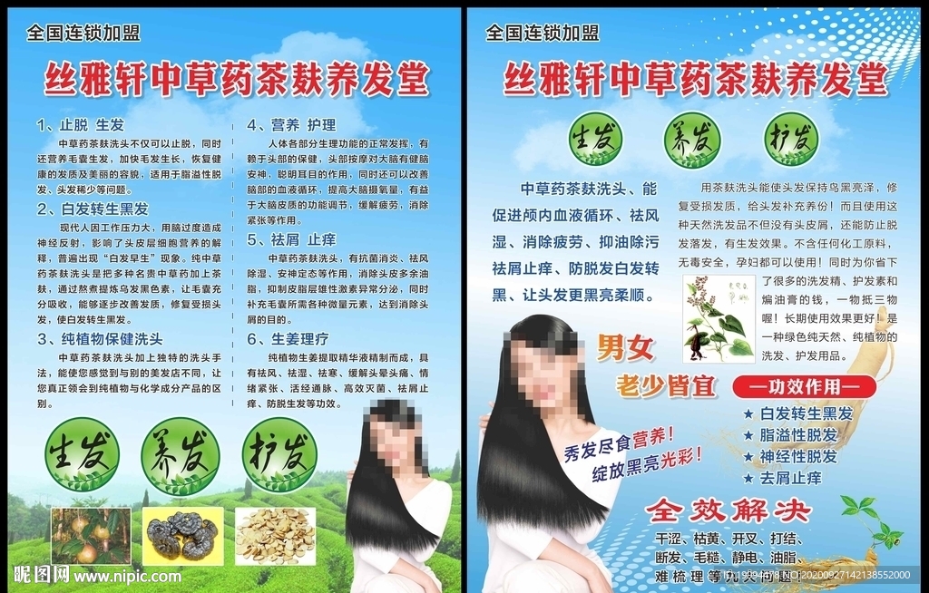 茶麸养发 茶麸宣传单