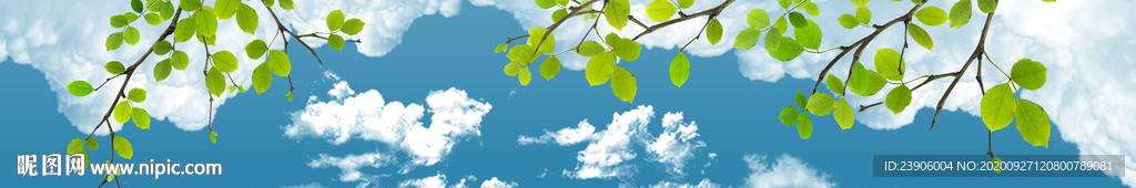 蓝天白云背景绿叶天空壁画