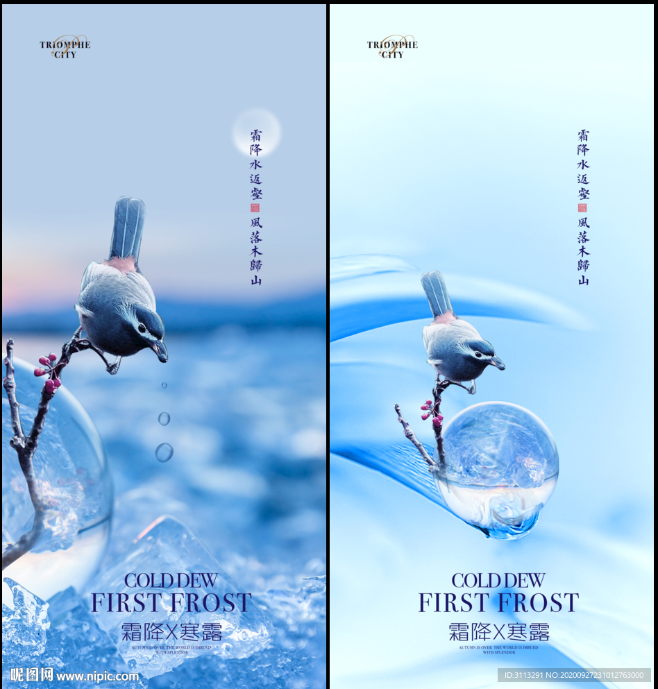 霜降寒露系列海报