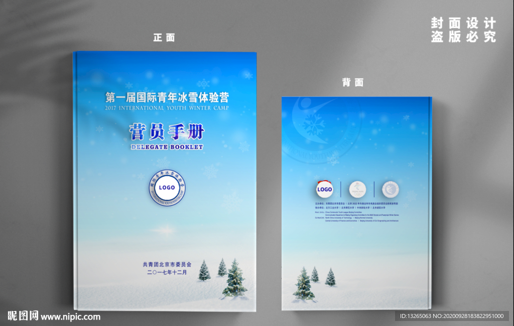 冰雪封面