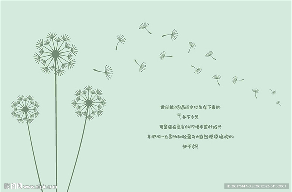 蒲公英