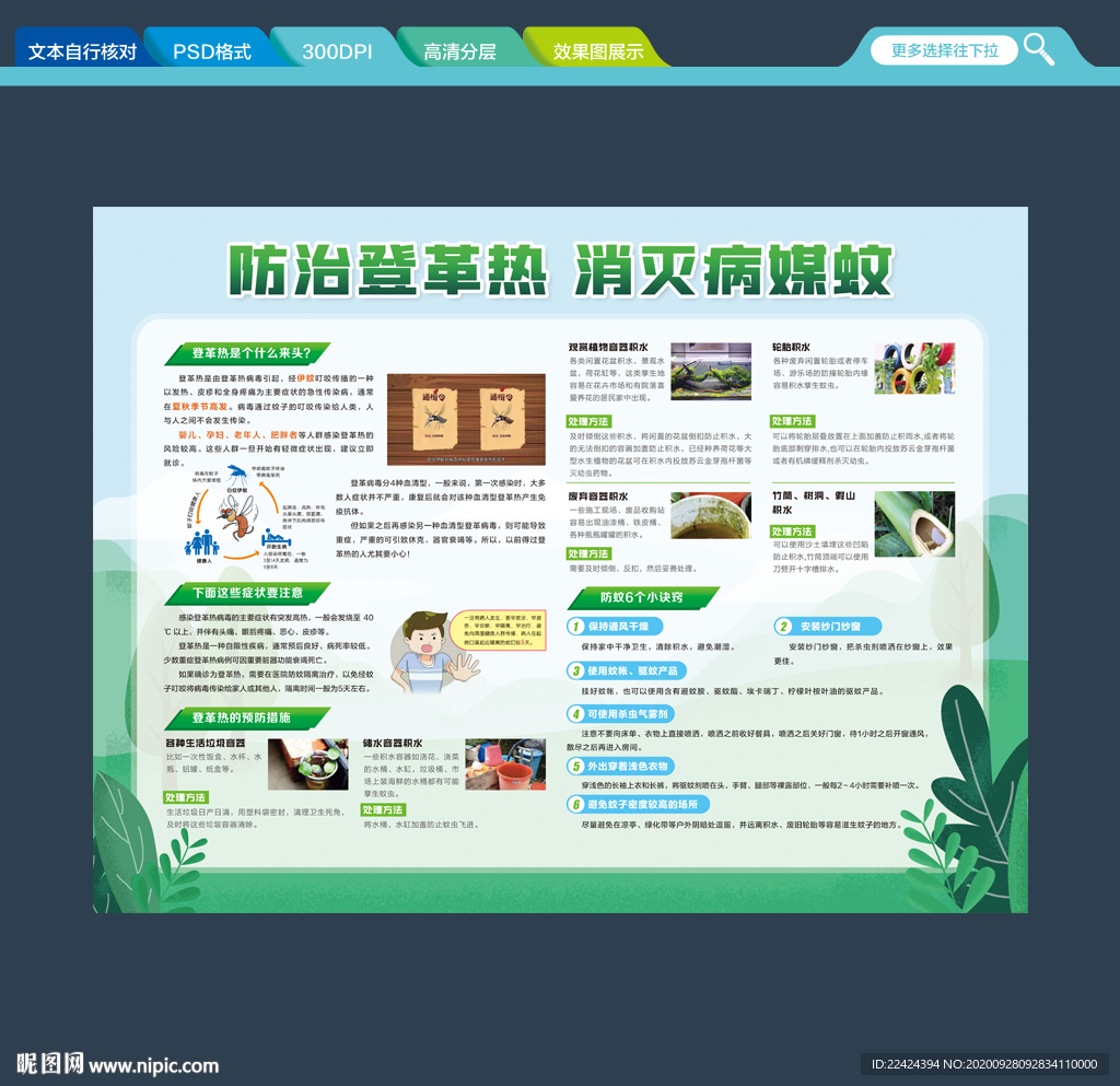 登革热 登革热海报