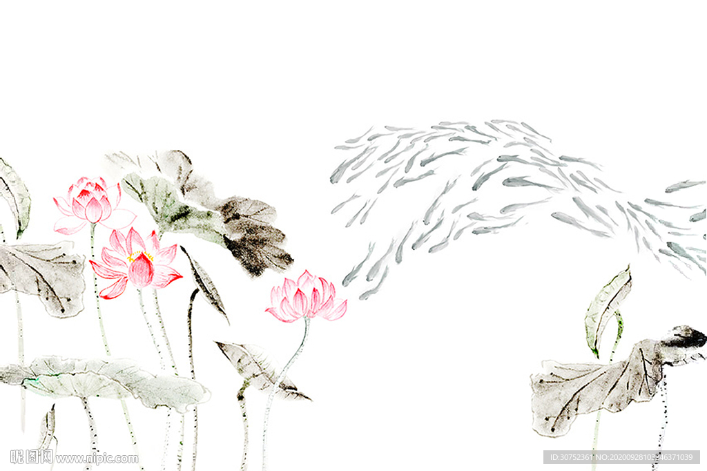 荷花
