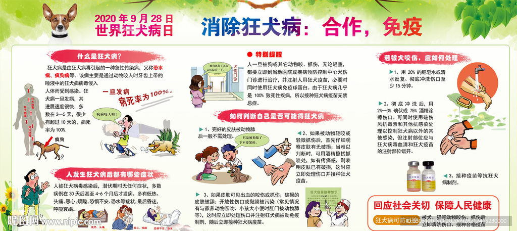 2020狂犬病日