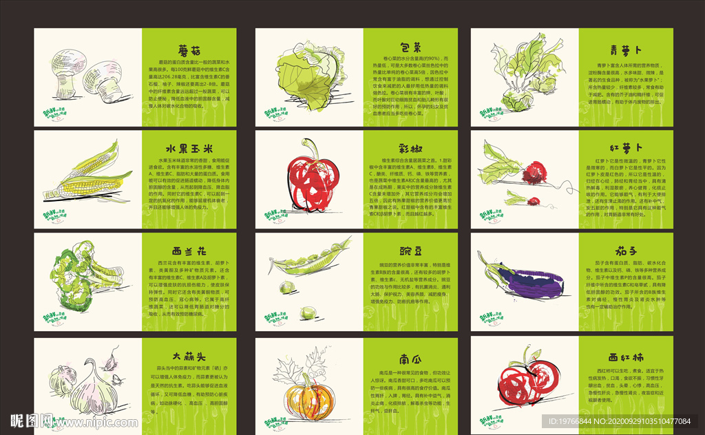 手绘蔬菜知识卡