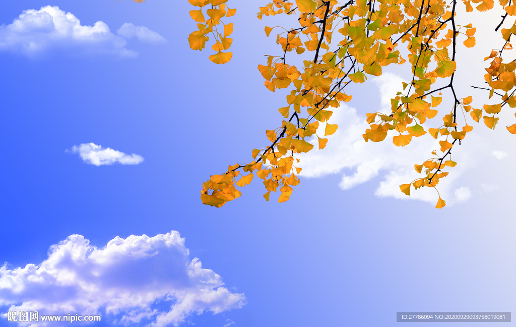 天空