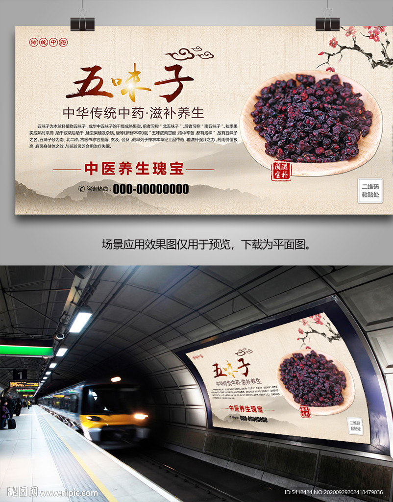 五味子简介单页海报灯箱展板展架