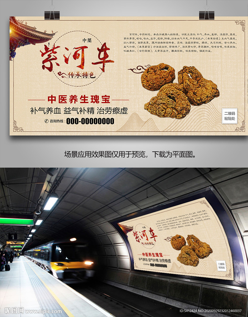 中药材紫河车海报灯箱展板挂画