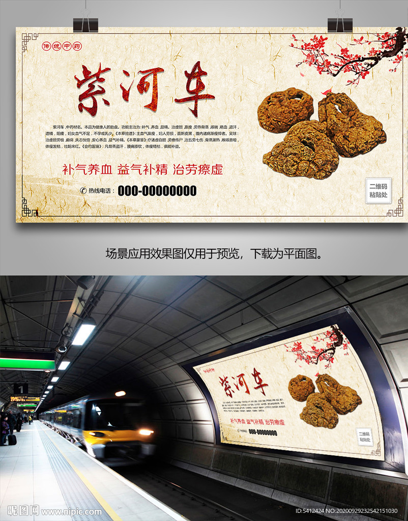 中药材紫河车灯箱海报展板展架