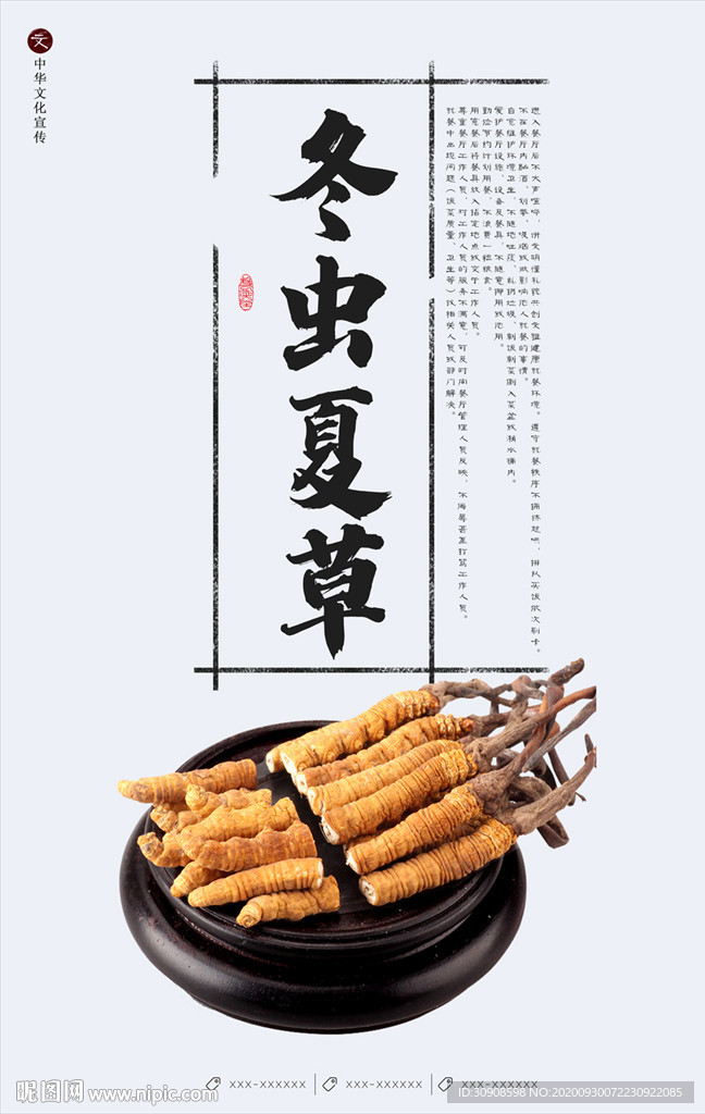 冬虫夏草
