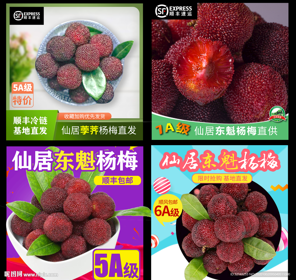 杨梅主图