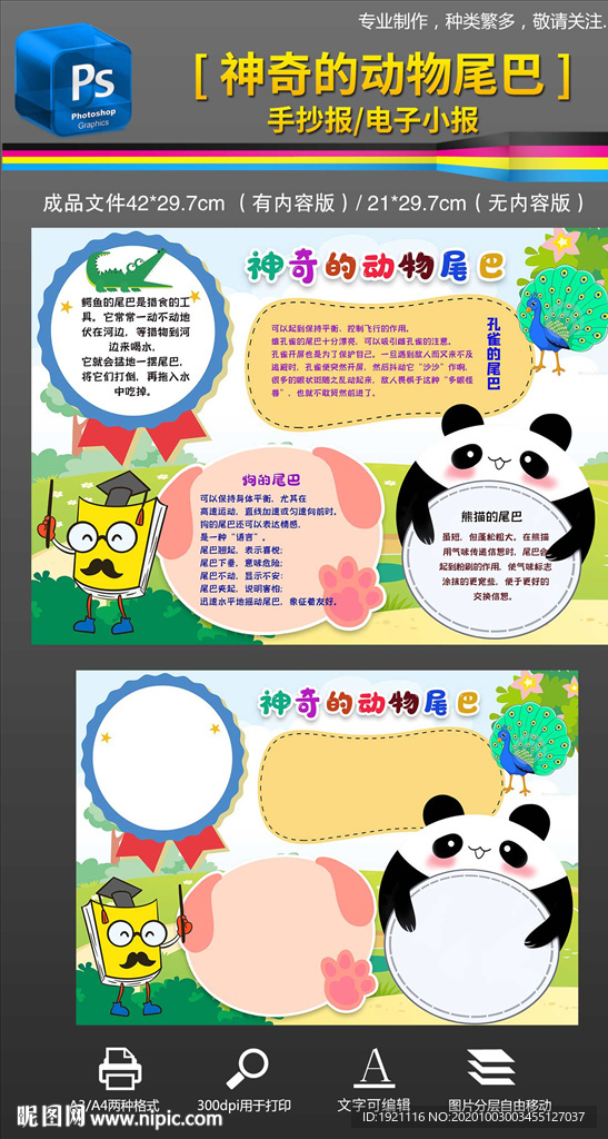 神奇的动物尾巴手抄报小报素材