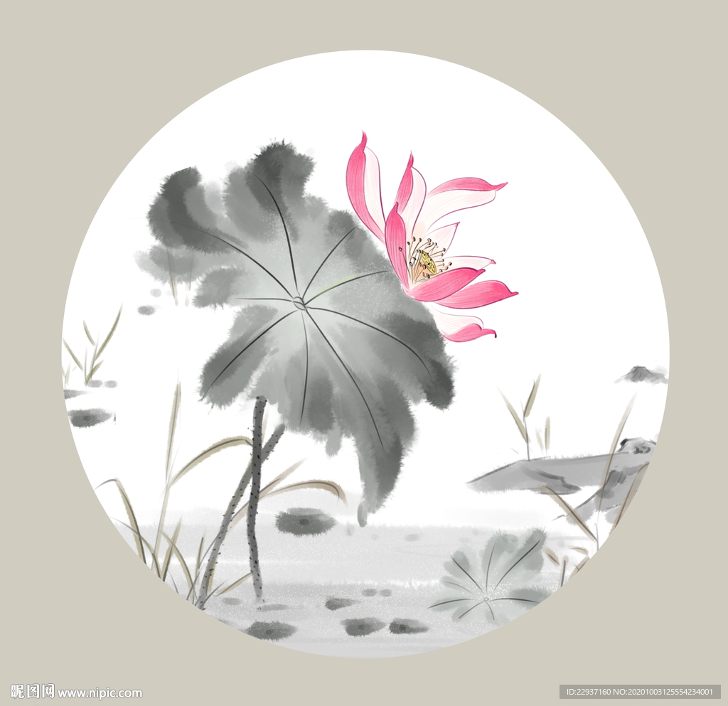 手绘荷花