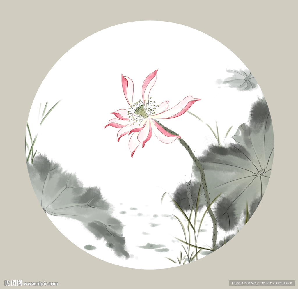 手绘荷花