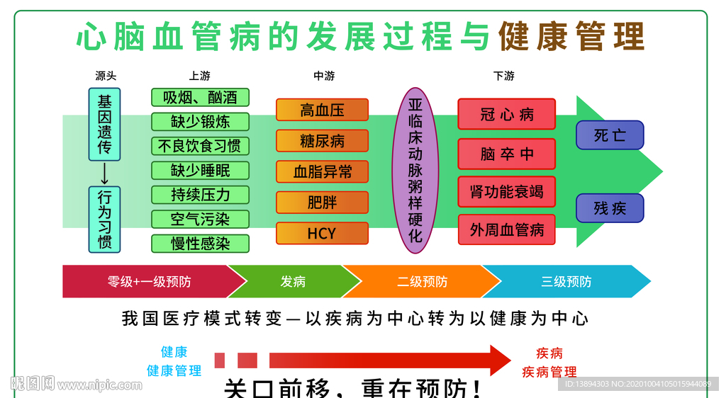 心脑血管发展过程