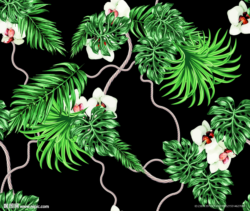 热带植物