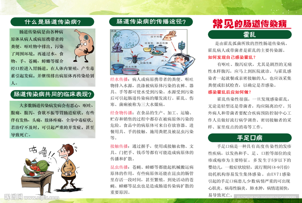预防肠道传染病反