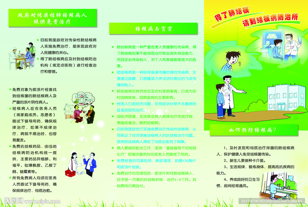 结核病防治（反面）