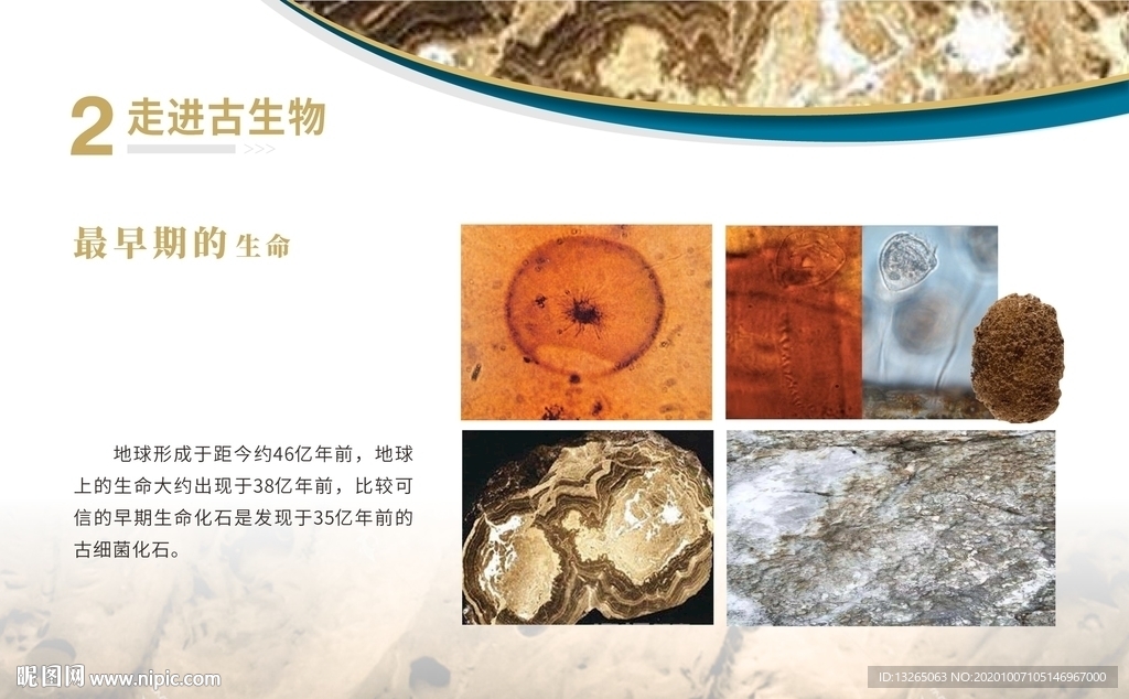 古生物展板 最早期的生命