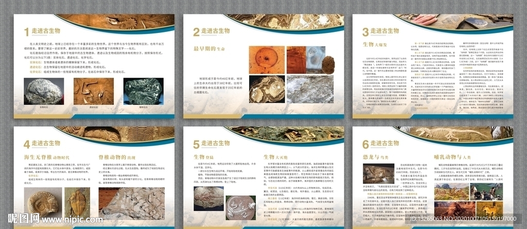 走进古生物博物馆展板古迹探究