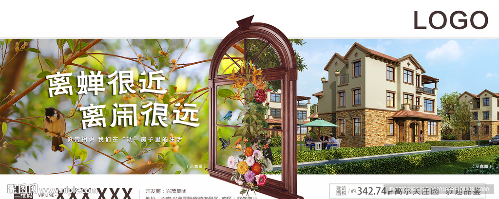 离蝉很近 离闹很远