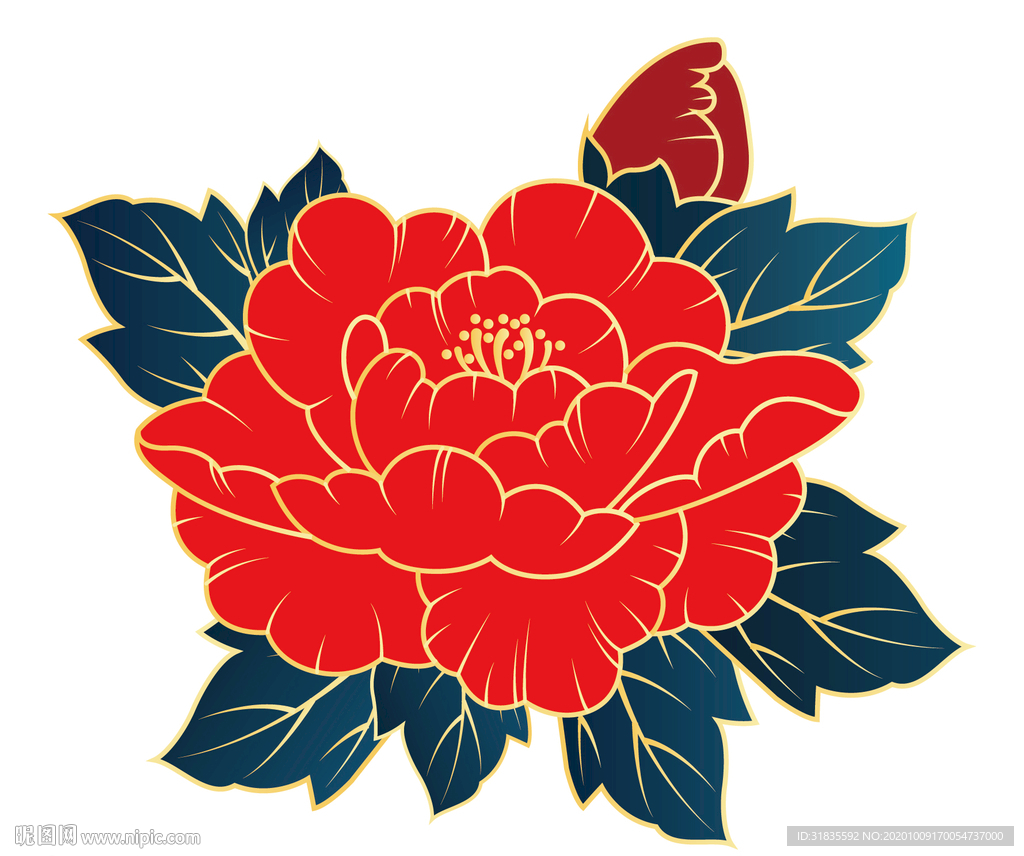 手绘插画牡丹花