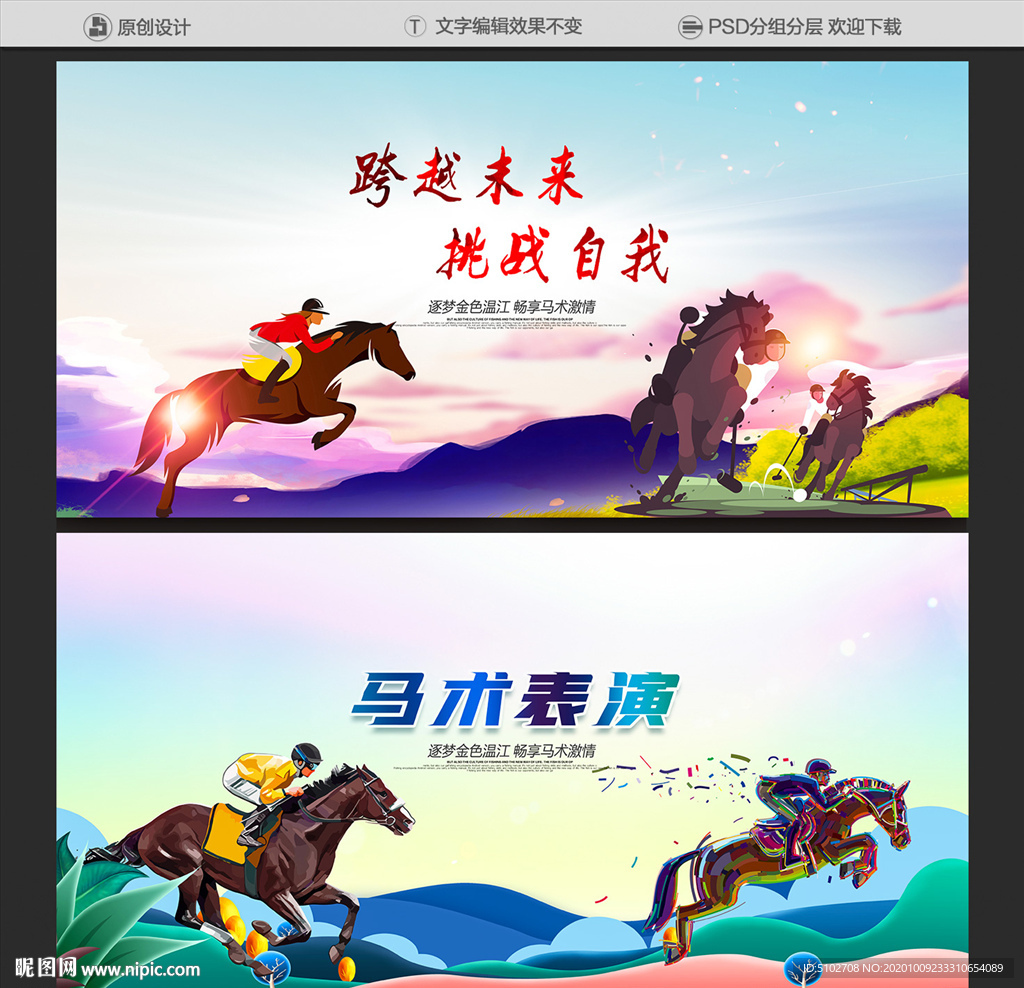 马术运动 马术