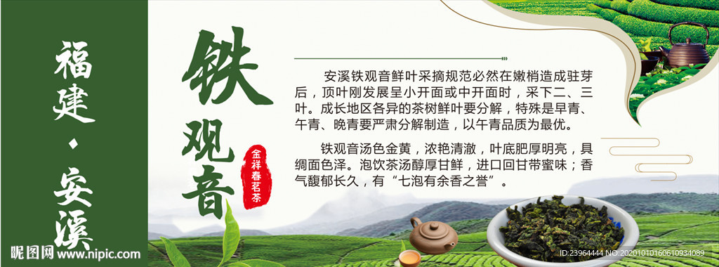 铁观音