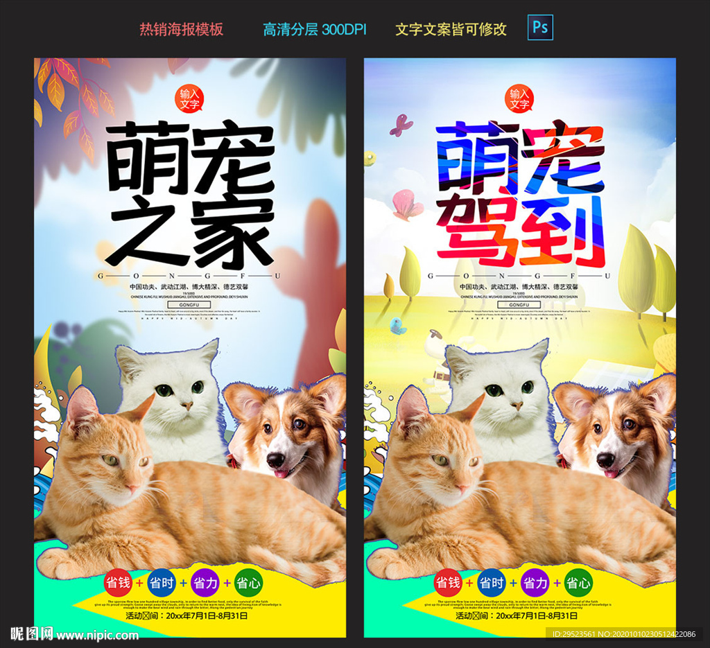 宠物