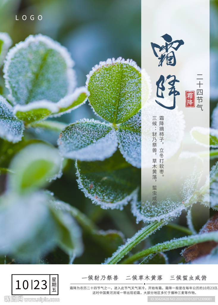 霜降 二十四节气