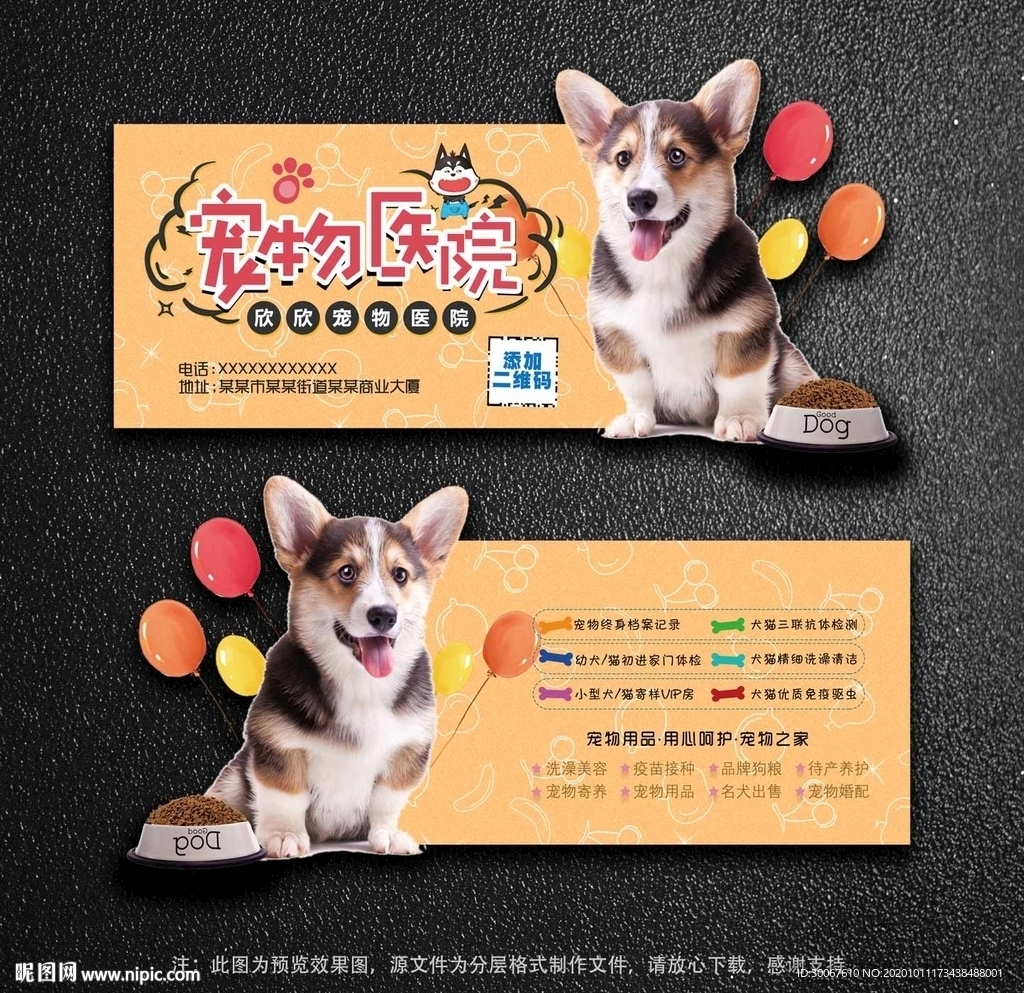 宠物