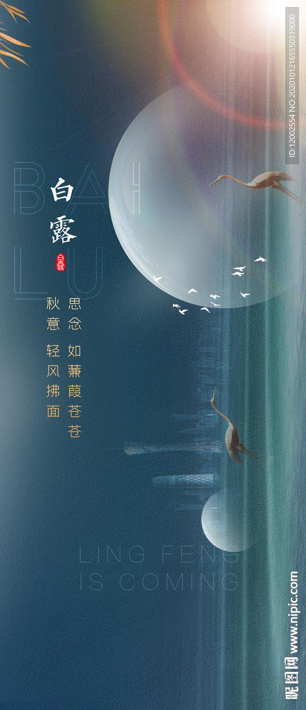 白露 节气 24节气 二十四节