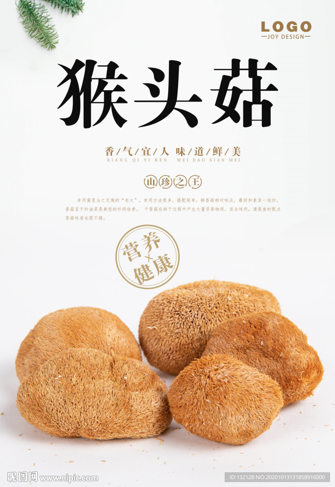 猴头菇海报 野生猴头菇