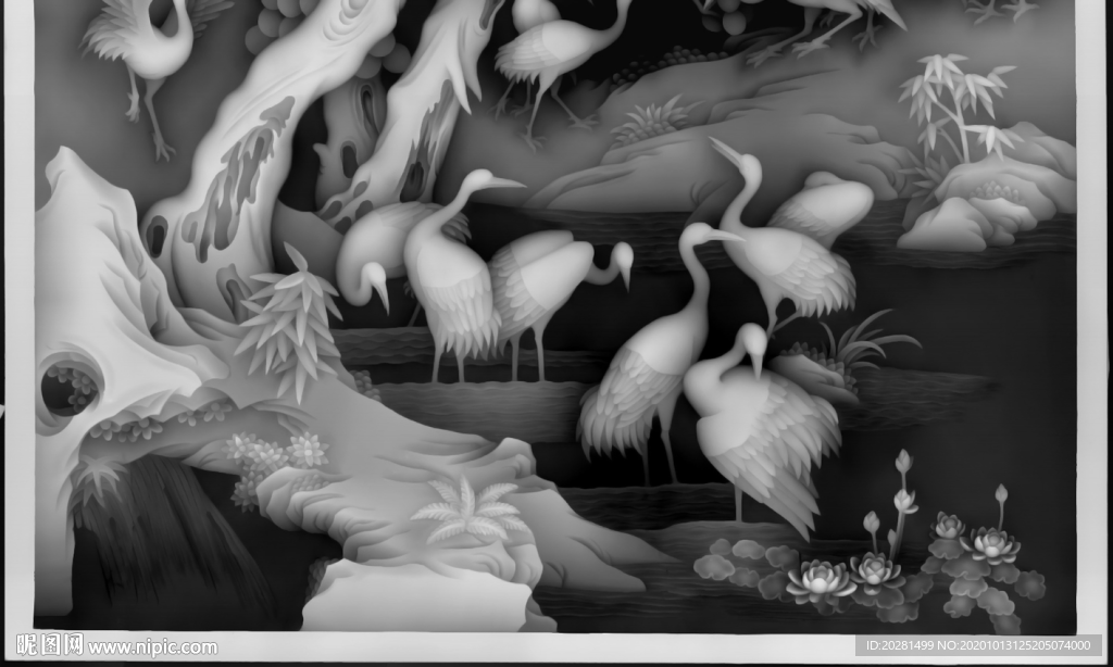 白鹤灰度图