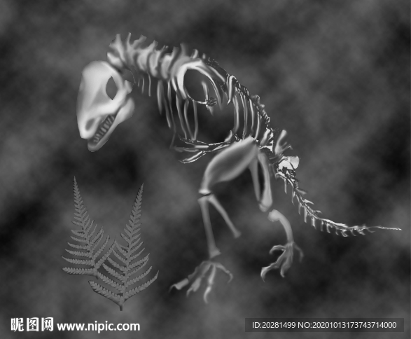 恐龙骨头灰度图