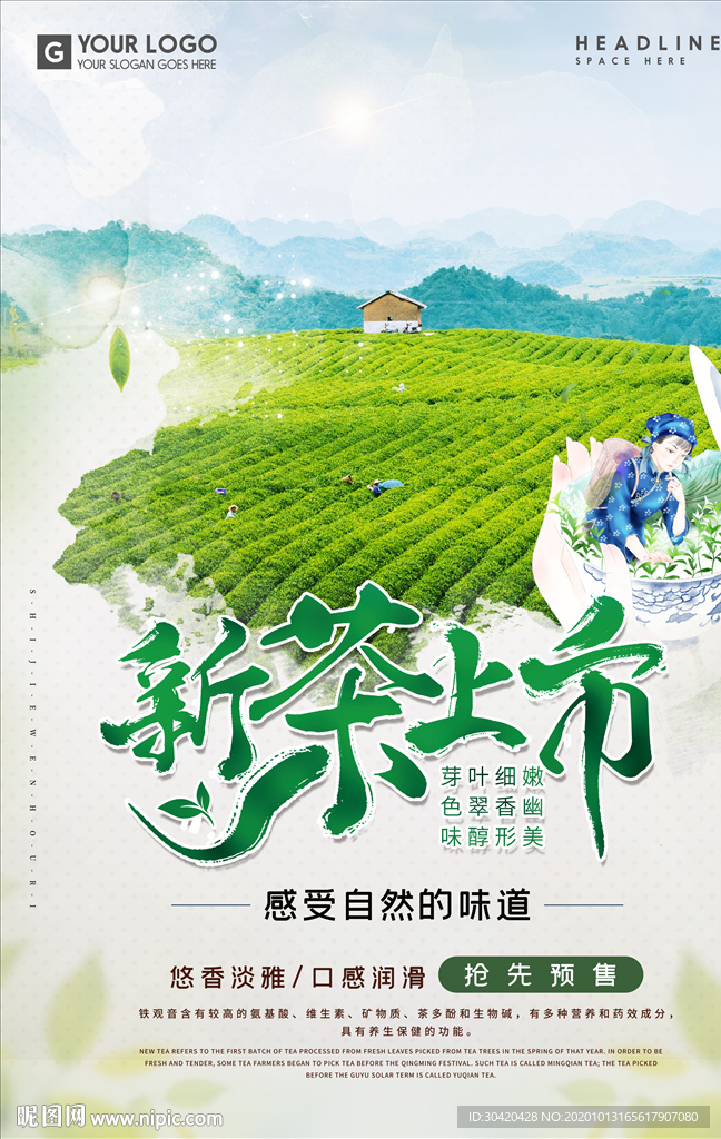 新茶上市 新茶宣传