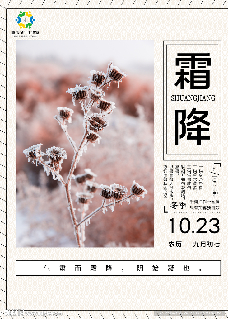 二十四 节气 霜降