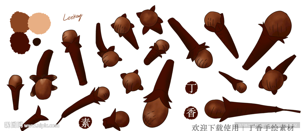 丁香手绘素材