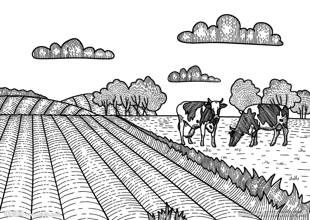 农村田野奶牛手绘素描插画