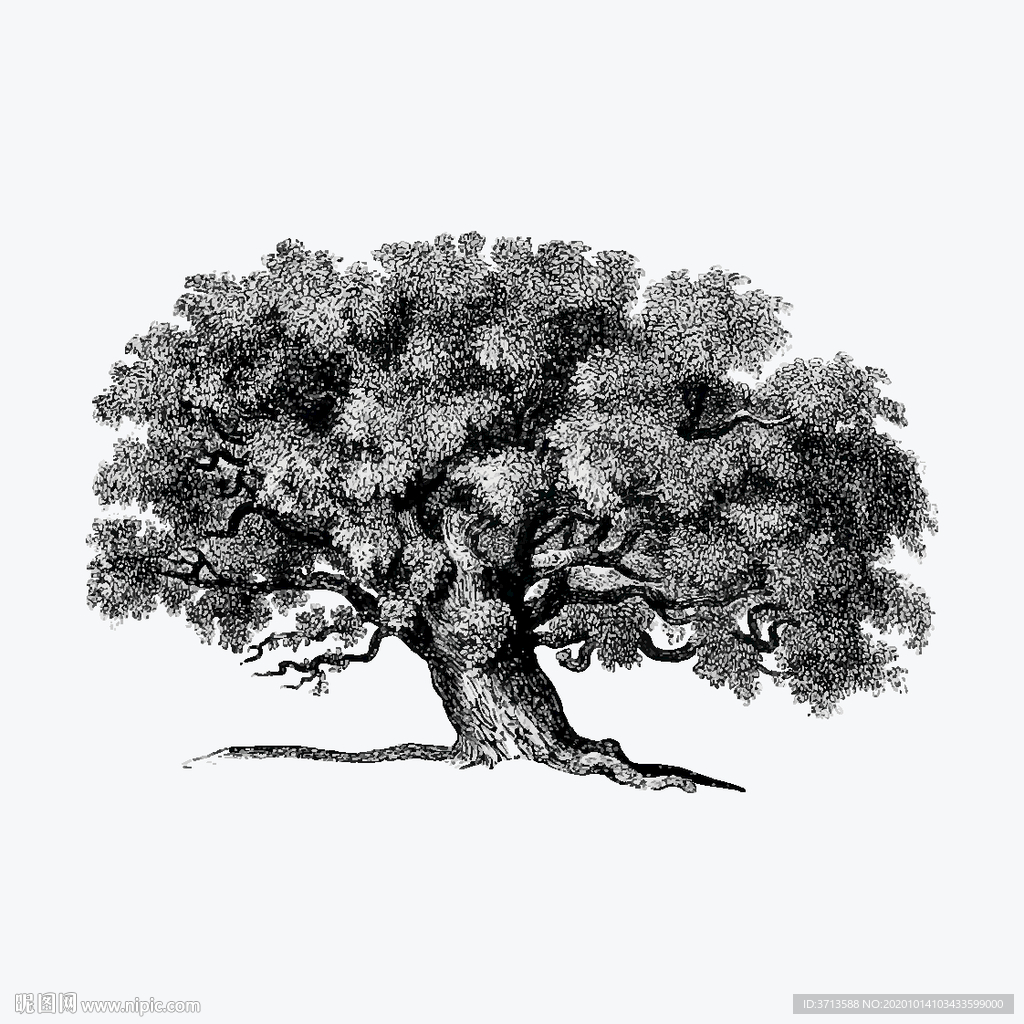 素描 大树设计图__绘画书法_文化艺术_设计图库_昵图网nipic.com