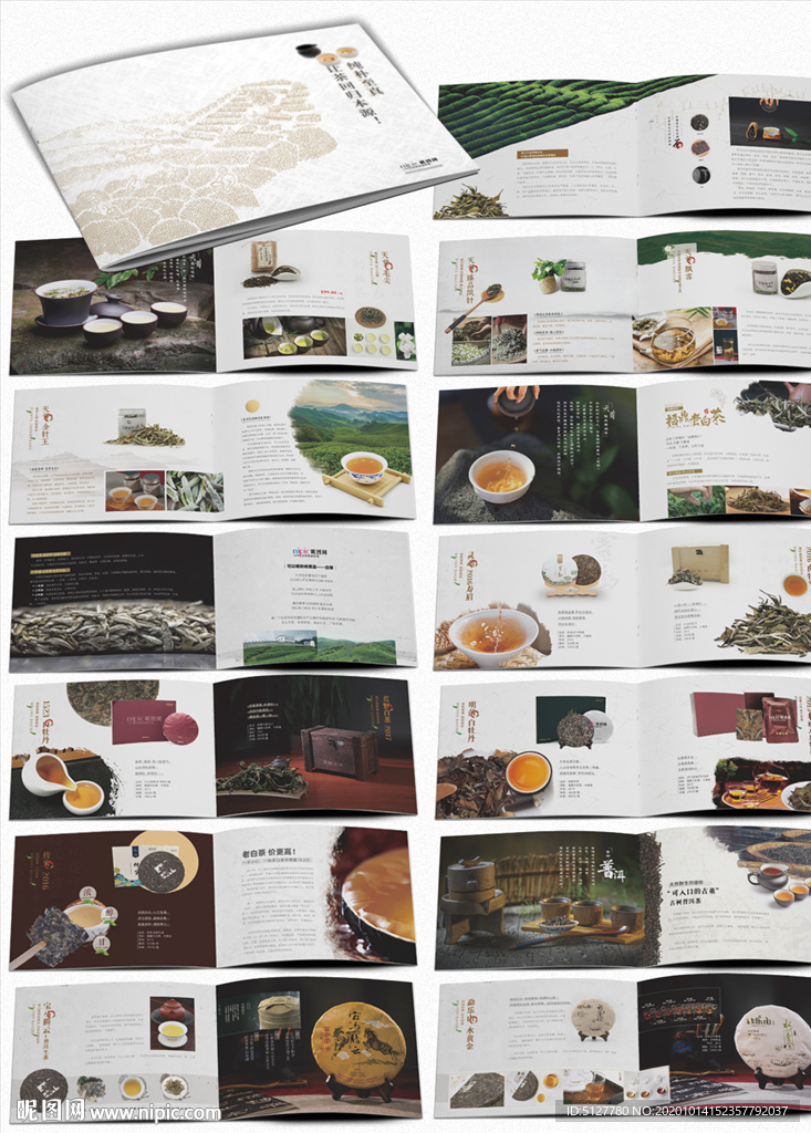 茶叶画册