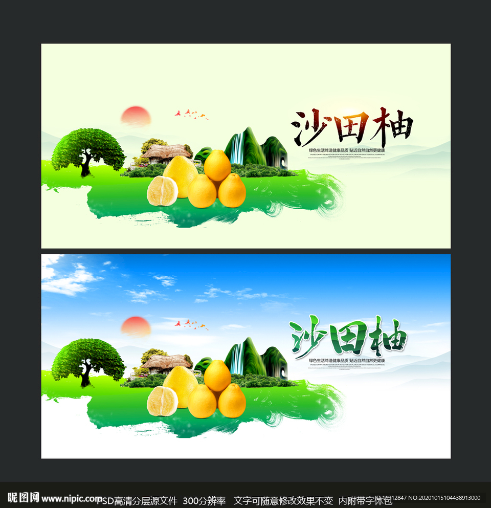 沙田柚