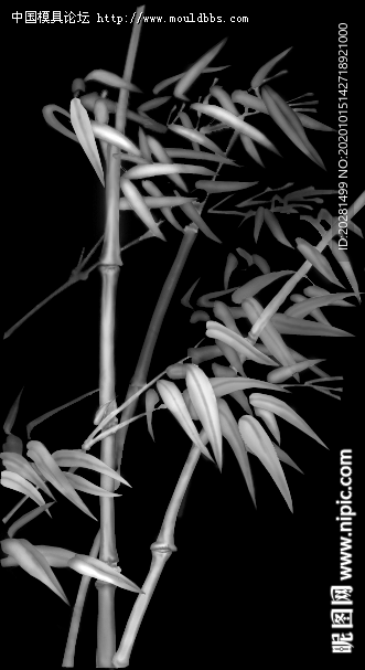 竹子灰度图