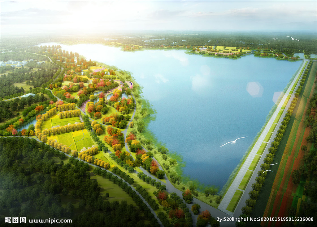 滨湖路生态湿地规划效果图