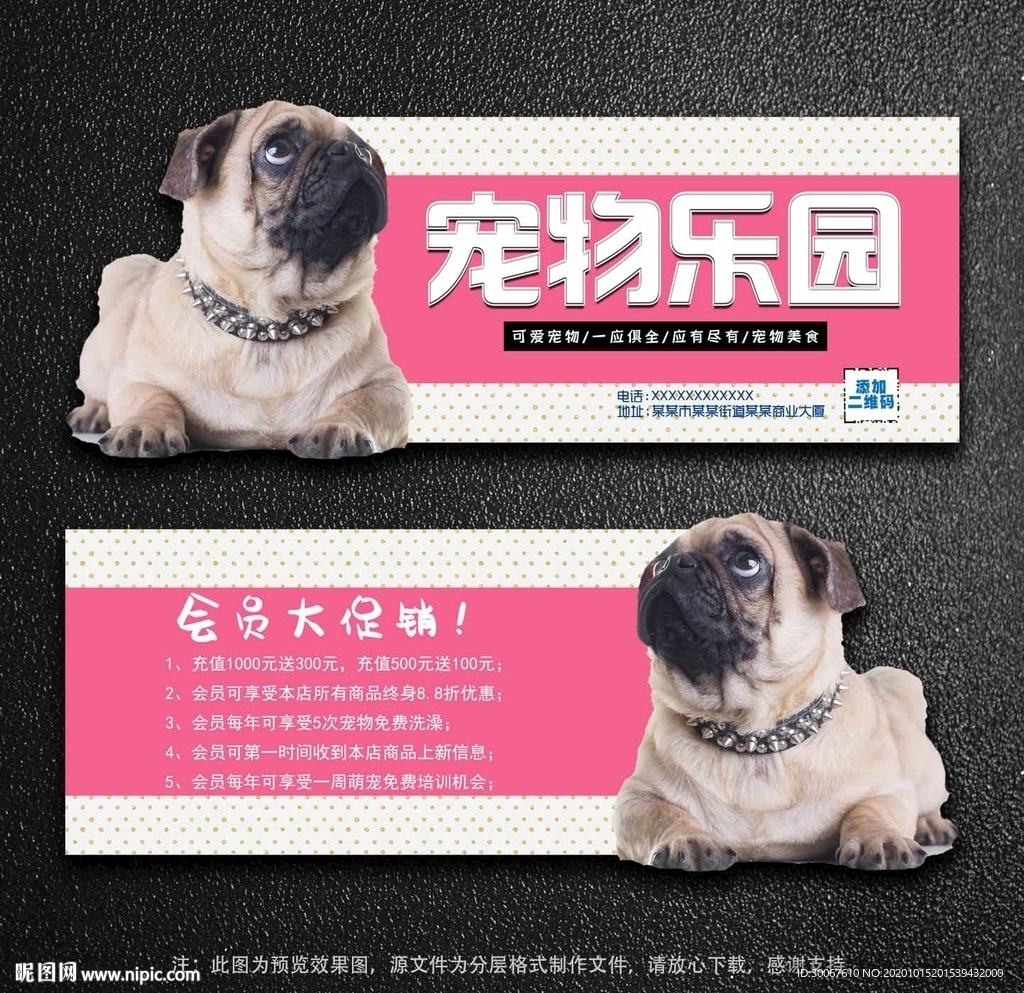 宠物