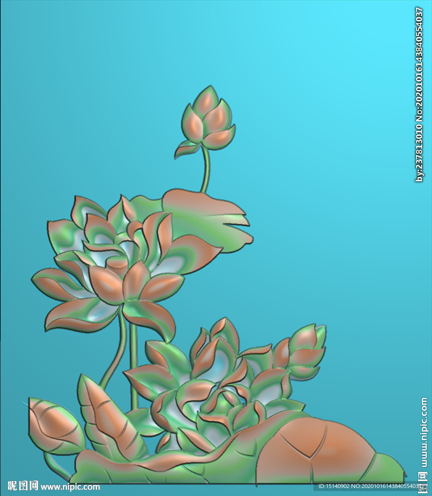精雕图 荷花